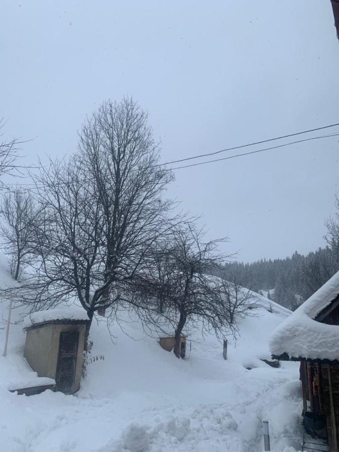 Cottage house โปโดโบเวียตส์ ภายนอก รูปภาพ